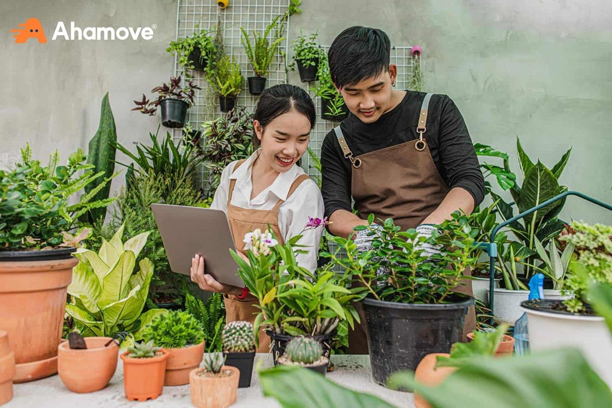 Kinh doanh cây cảnh mini tại nhà